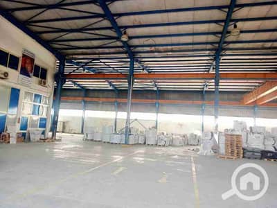 Factory for Rent in Badr City, Cairo - 1000135560. jpg