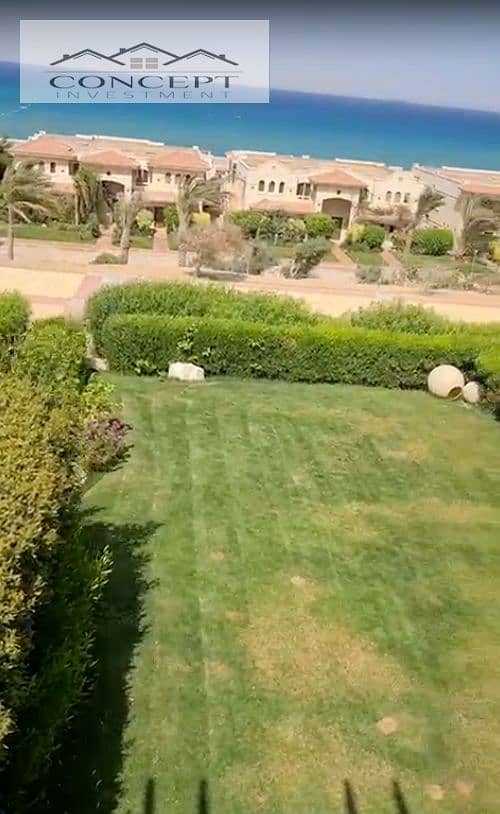 12 Screen Shot 2024-11-26 at 4.36. 15 PM. png