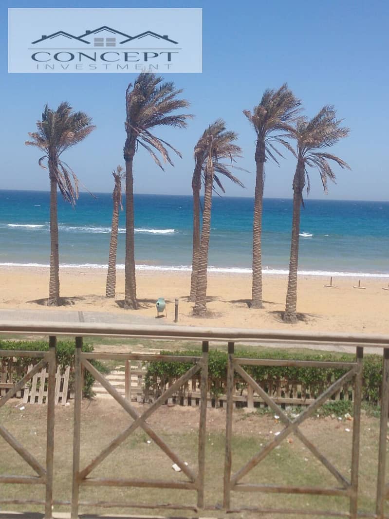 2 WhatsApp Image 2024-11-26 at 5.48. 10 PM (2). jpeg