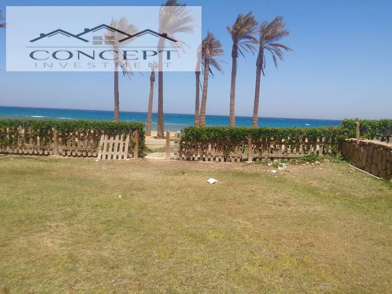 5 WhatsApp Image 2024-11-26 at 5.48. 11 PM. jpeg