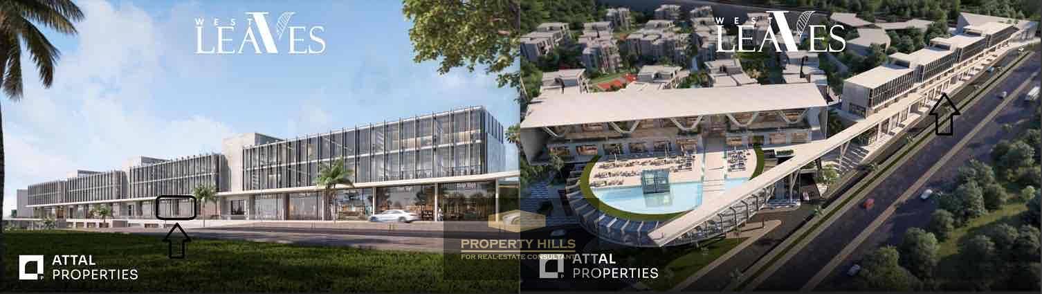 3 316cf2ee-6d12-4660-a5b1-3228e1032bc6. jpg