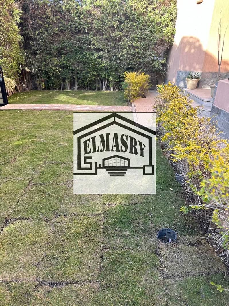 20 eae9535a-24c8-4d0b-bb53-490726efe637. jpg