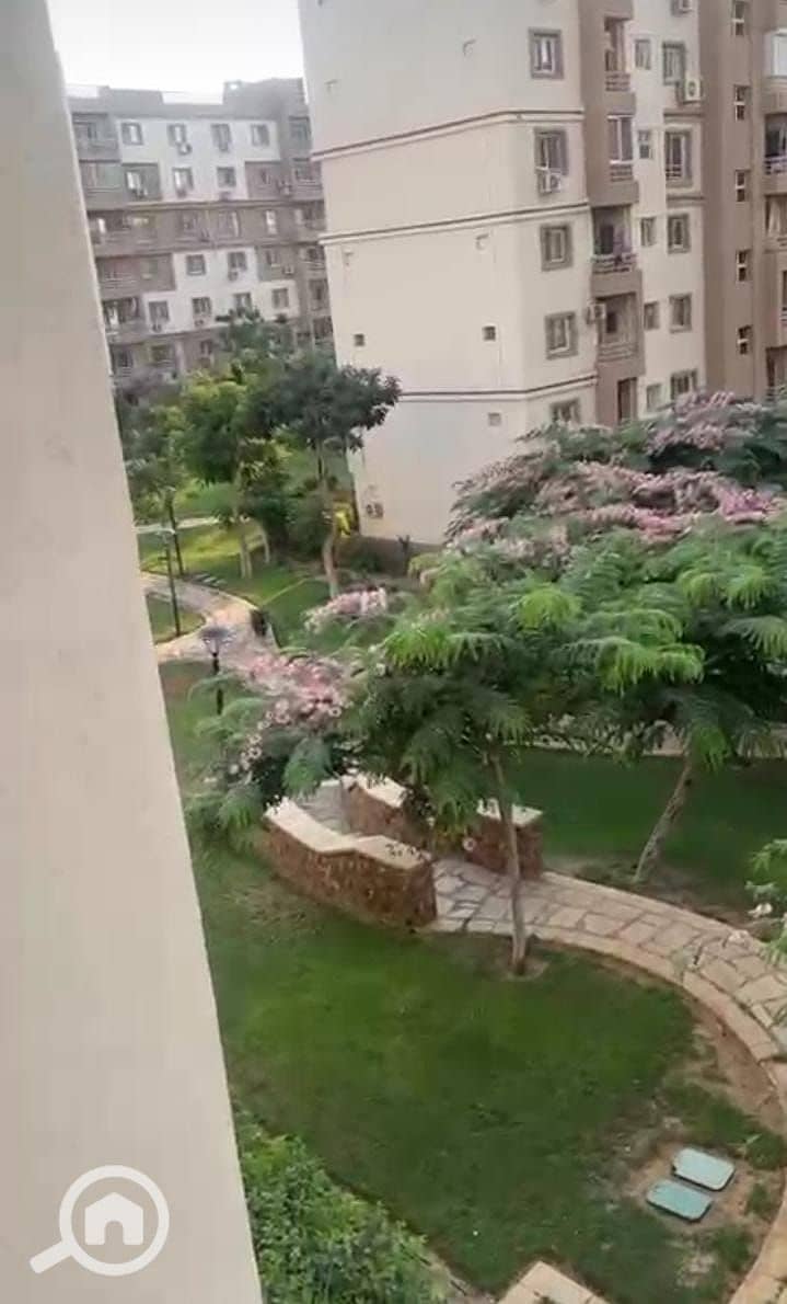 9 WhatsApp Image 2026-01-11 at 3.28. 30 PM. jpeg