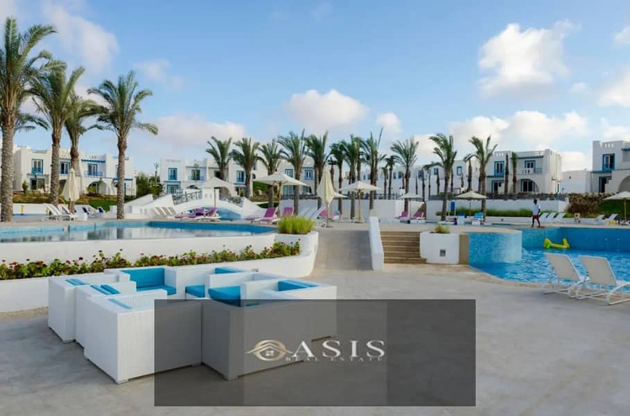 4 1312x894 (17). jpg