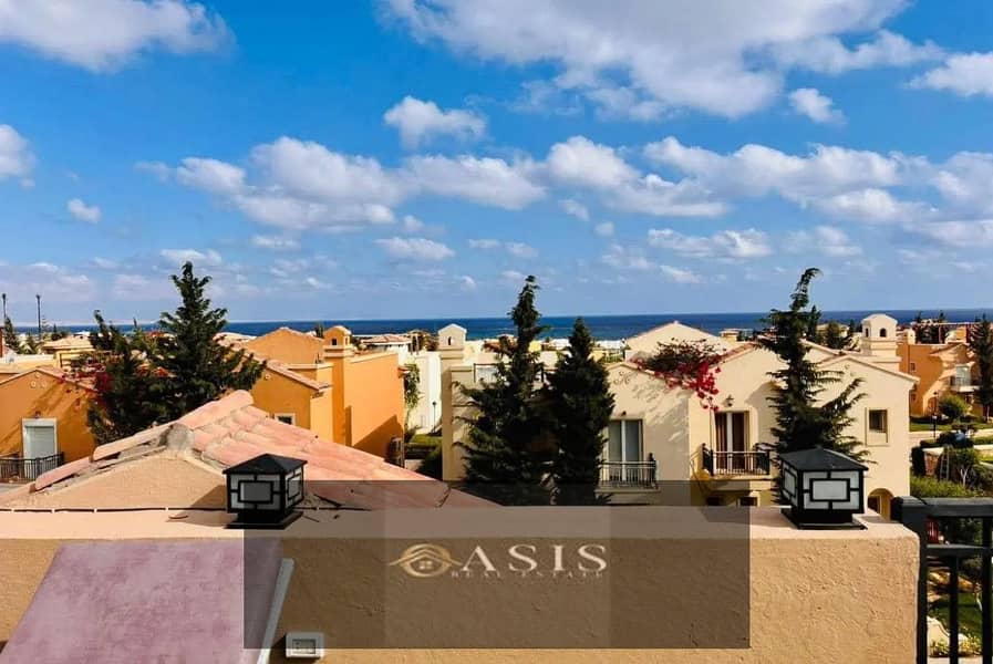 6 1312x894 (15). jpg