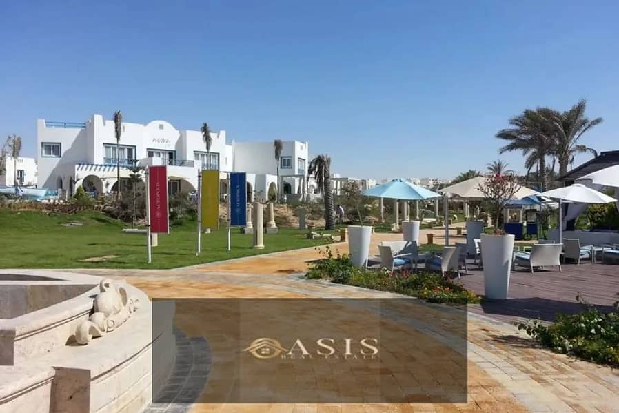 7 1312x894 (14). jpg