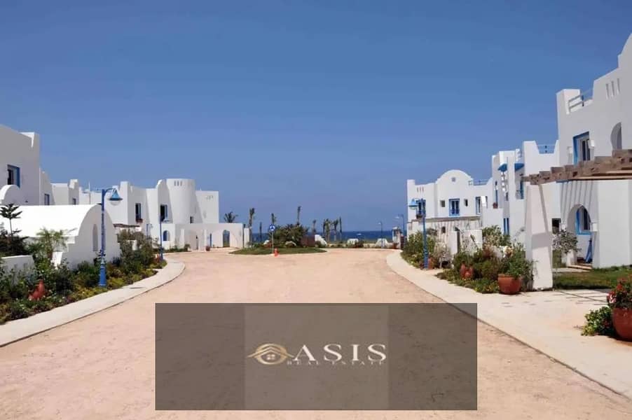 9 1312x894 (12). jpg