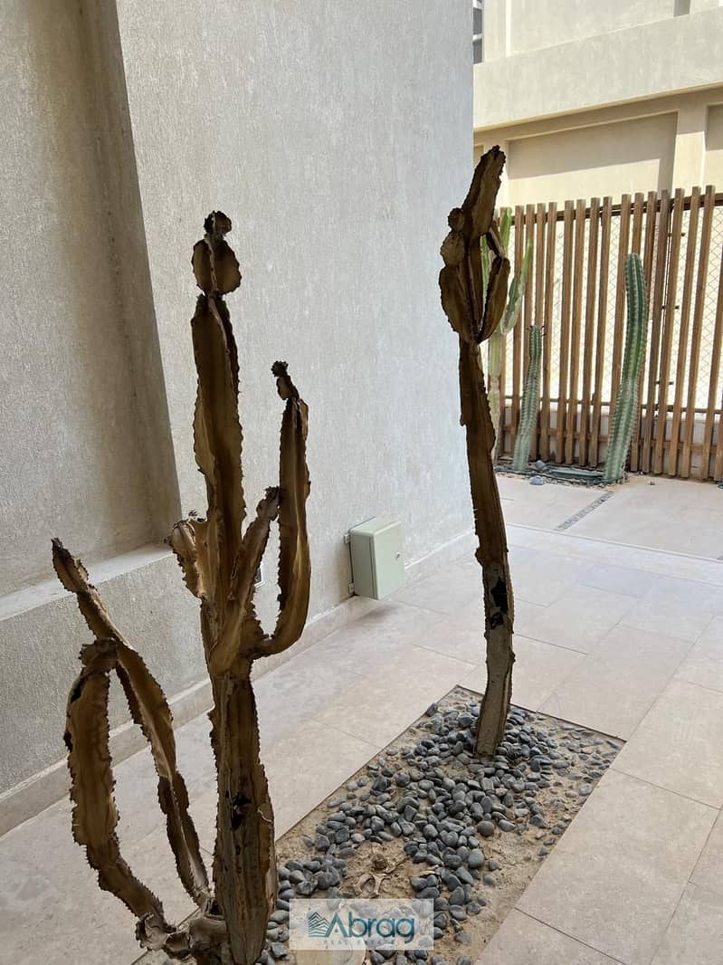 6 WhatsApp Image 2024-05-16 at 3.00. 28 PM (5). jpeg