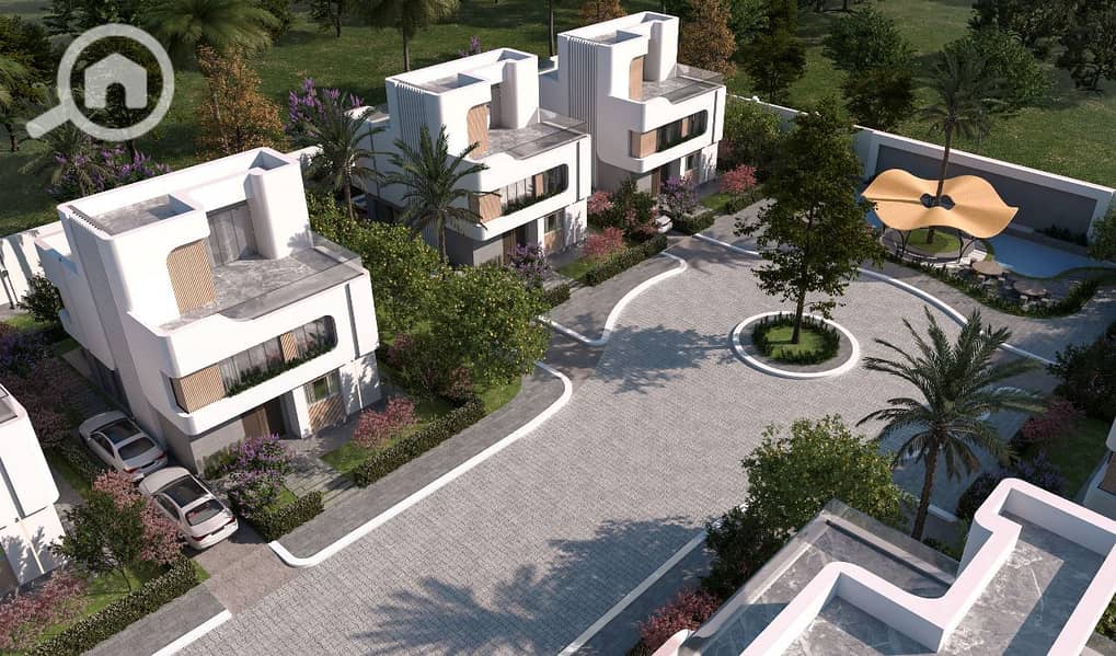 3 زايد جرينز 1. jpeg