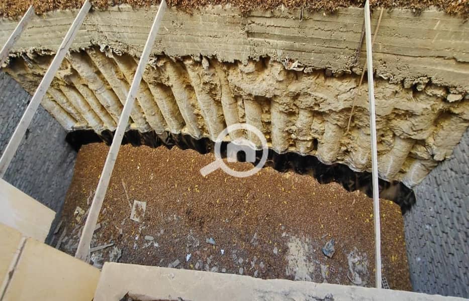 11 WhatsApp-Image-2025-10-22-at-1.46. 20-PM. jpg