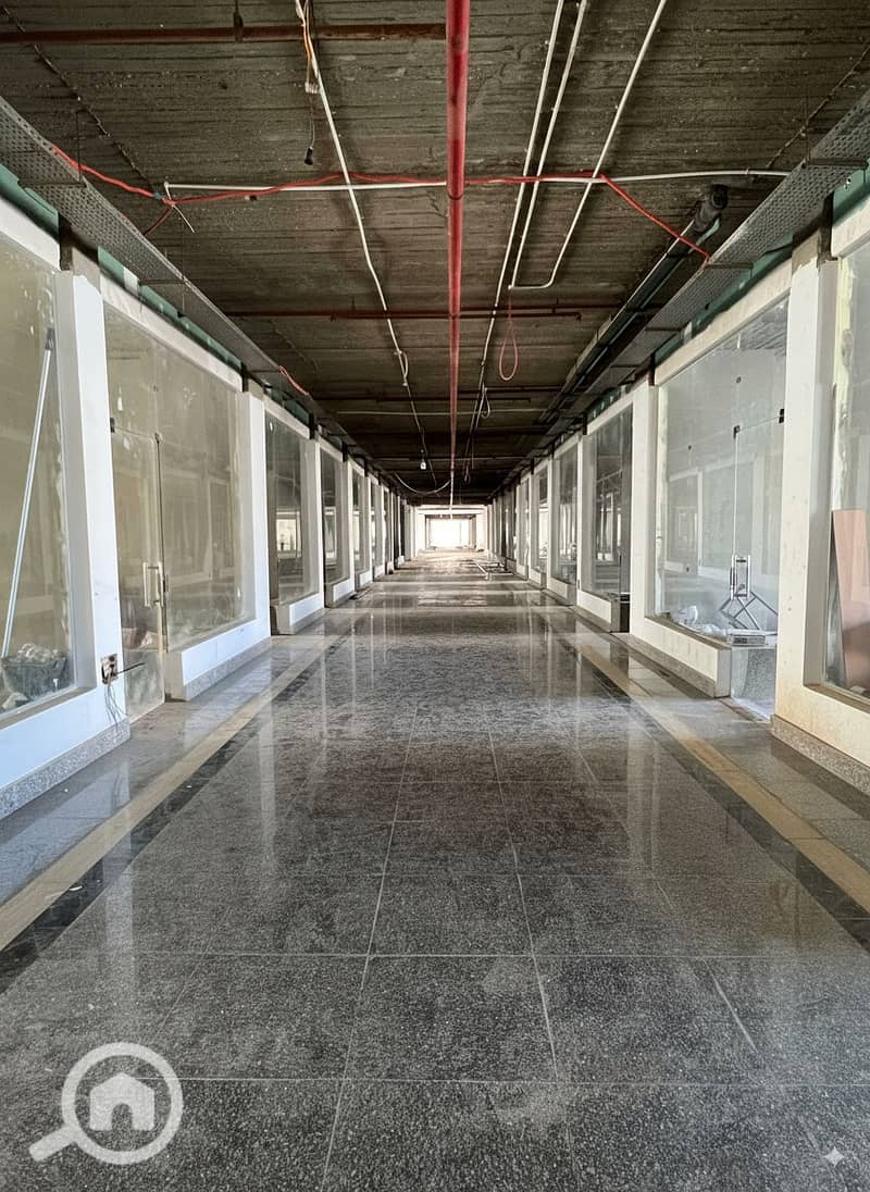 7 Generated Image September 15, 2025 - 2_26PM. png