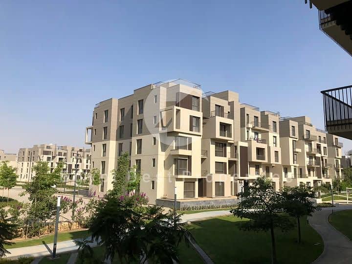 9 613785473_770281019436411_8059225845119583578_n. jpg