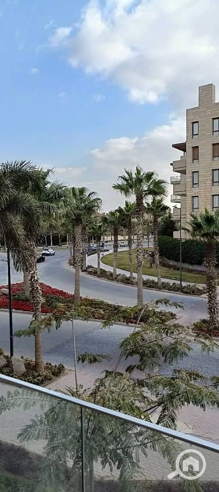 9 496259007_683601667741255_437800629129280875_n. jpg