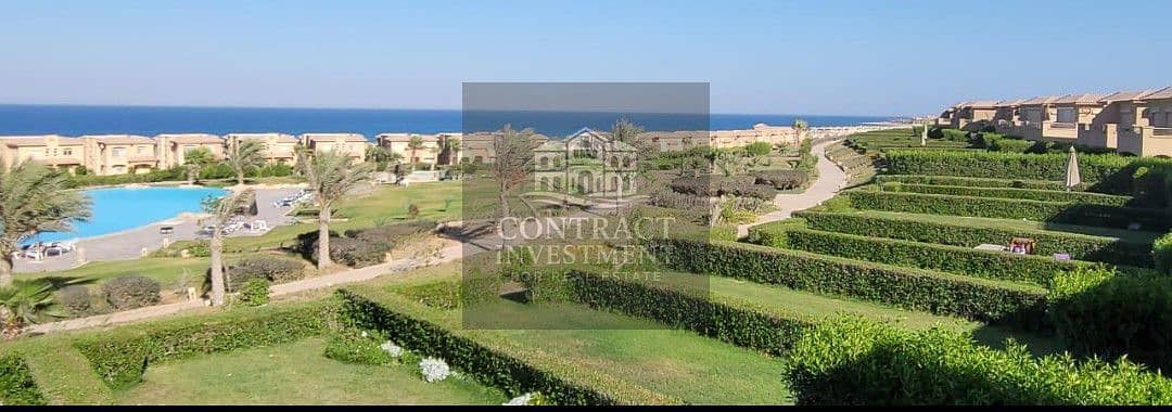 5 WhatsApp Image 2026-01-11 at 3.50. 59 PM. jpeg