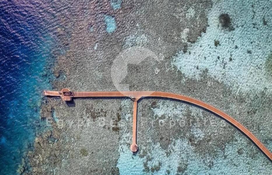 2 WhatsApp Image 2025-12-17 at 2.55. 13 PM - Copy. jpeg