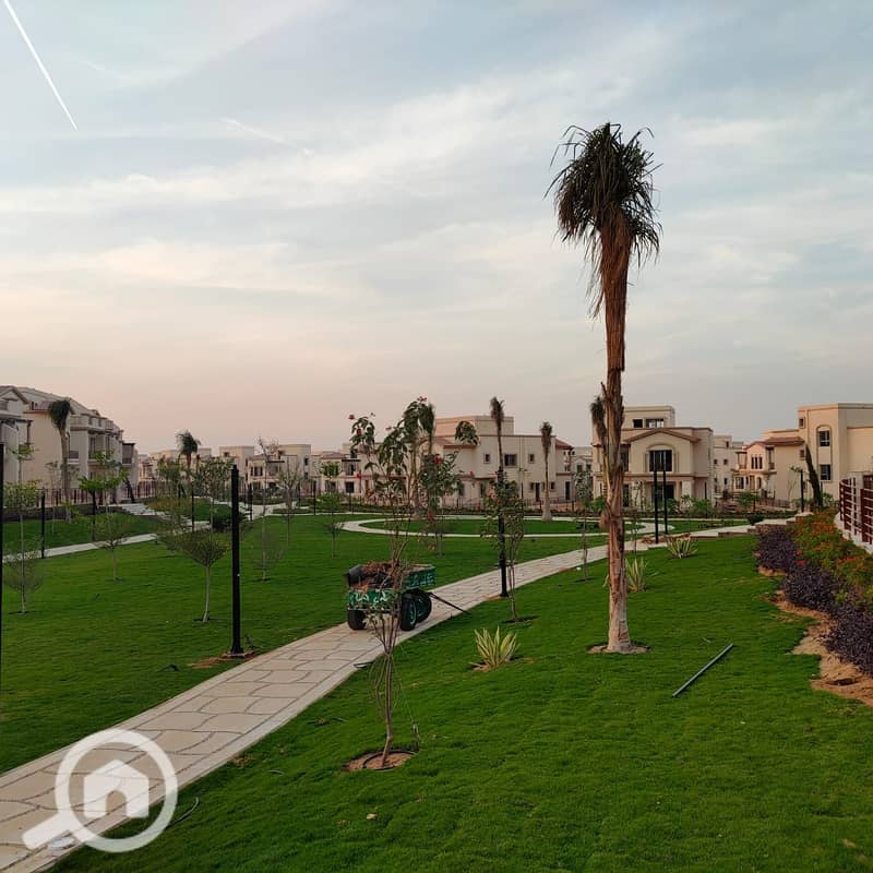 11 d909f21f-f7cd-4d3e-8ca0-63d068014eff. jpg