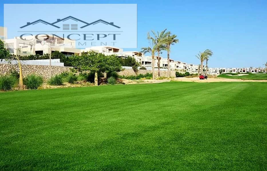 6 67a13c9f-7a35-404a-a335-eea63fc227c1. jpeg