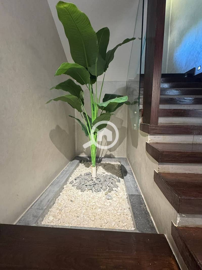 17 591747168_122304277472228254_5153665556239856768_n. jpg