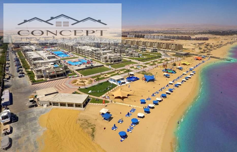 12 28a83e37-d879-4e9e-8632-fdb695ba2e02. jpeg