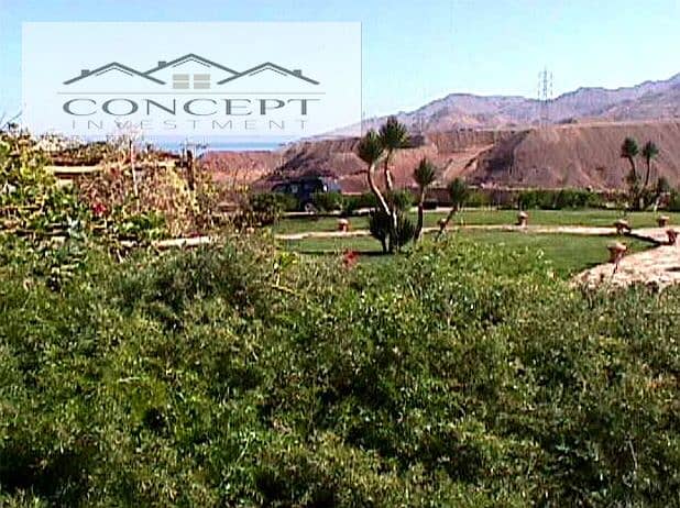 11 Screen Shot 2025-02-17 at 6.04. 14 PM. png