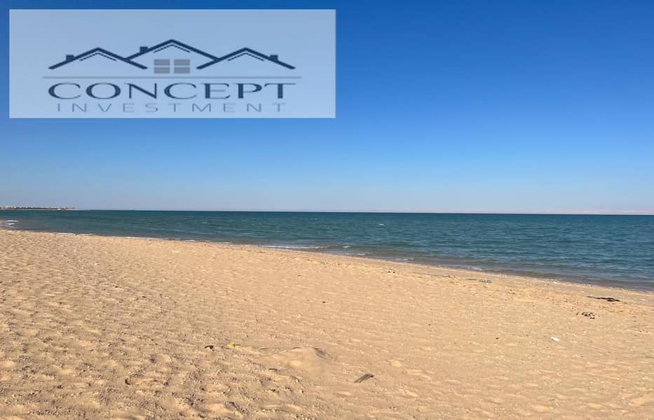 11 7c82b7c2-abc5-4558-a94f-26bc7b4450a8. jpeg