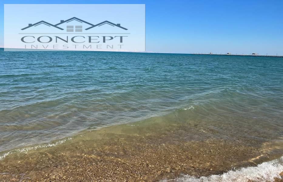 14 ee4dc23f-3d6c-45f0-868d-8c90ba88ada9. jpeg