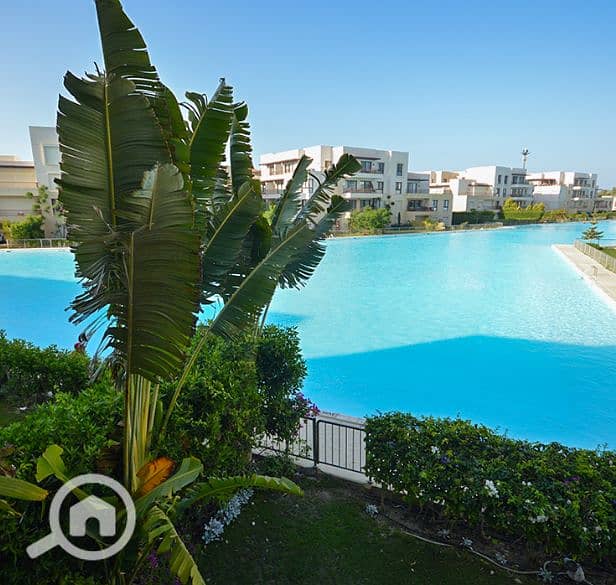 5 Screenshot 2026-01-11 151843. png