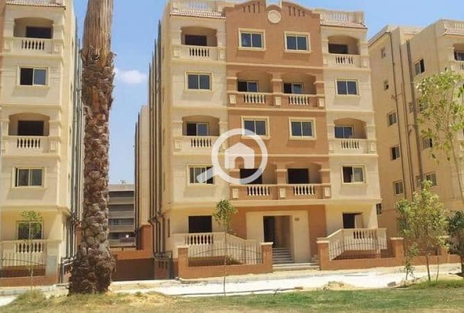 10 462823-64ae9o. jpg