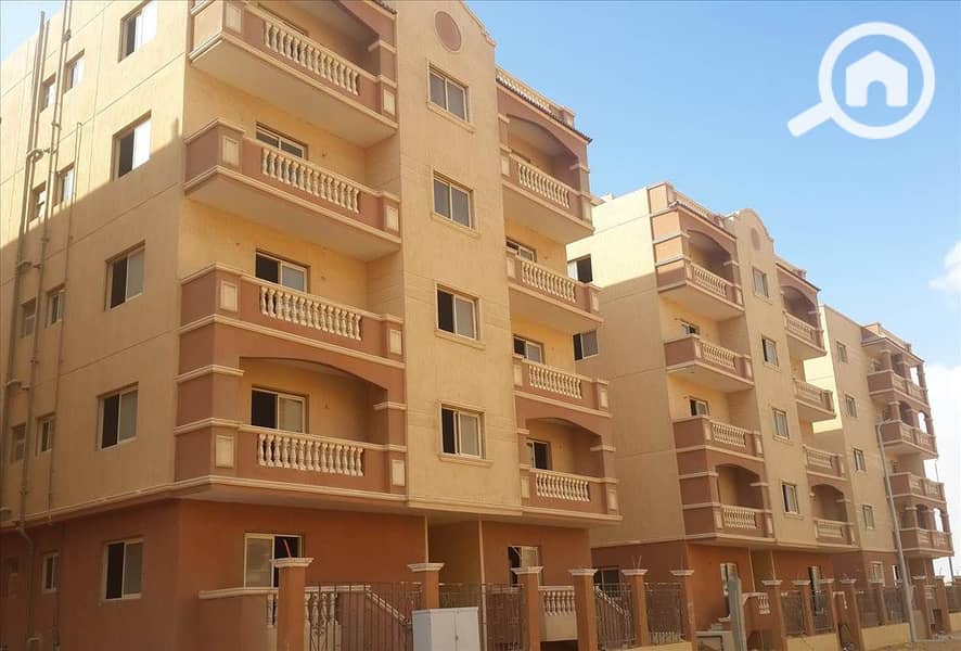 11 10897-636055573492950415_0. jpg