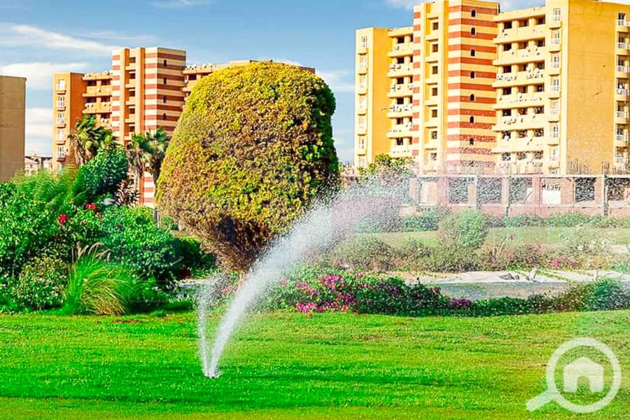 10 WhatsApp Image 2025-05-06 at 12.31. 22 PM (1). jpg