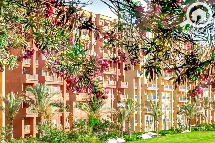 12 WhatsApp Image 2025-05-06 at 12.31. 23 PM (1). jpg