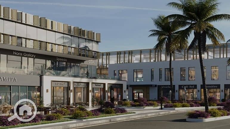 6 c998ec3c-f16e-4529-9660-eae511bbf6a8. jpg