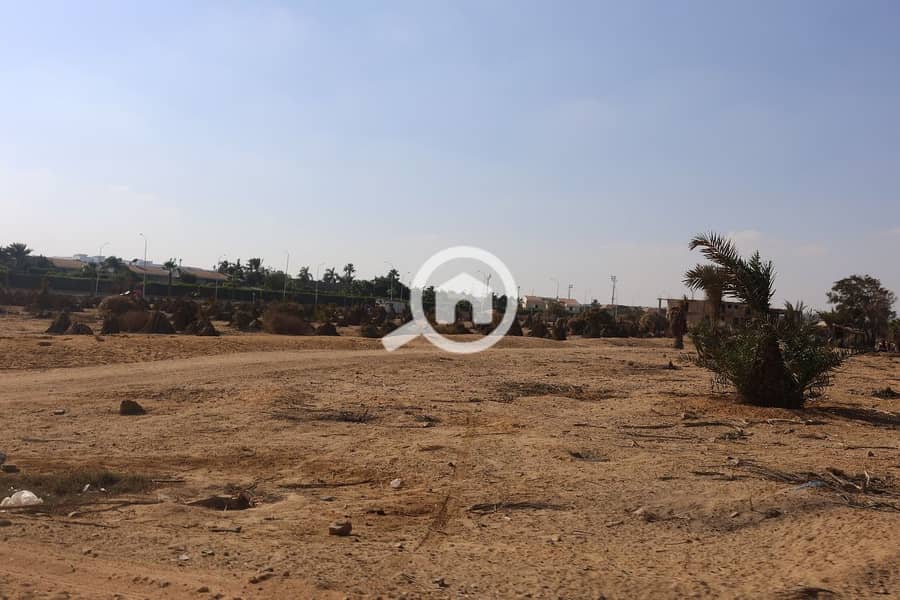 WhatsApp Image 2025-11-01 at 12.44. 00_bedb1aab. jpg WhatsApp Image 2025-11-01 at 12.44. 00_bedb1aab. jpg