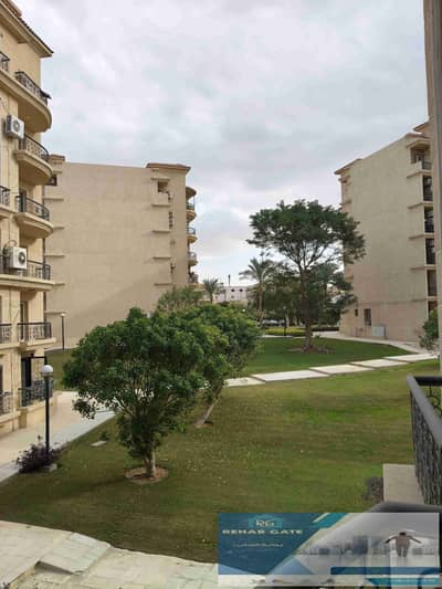 3 Bedroom Apartment for Sale in New Cairo, Cairo - 1000087796. jpg