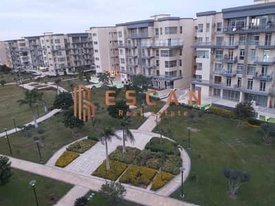 شقة 3 غرف نوم للايجار في مدينتي، القاهرة - 6ea44759-5187-436f-ab2a-04b7f1ec0b6e. jpeg