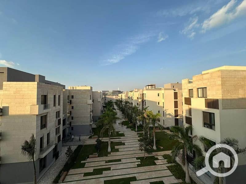 11 607528614_768090869633566_9070582868125696125_n. jpg