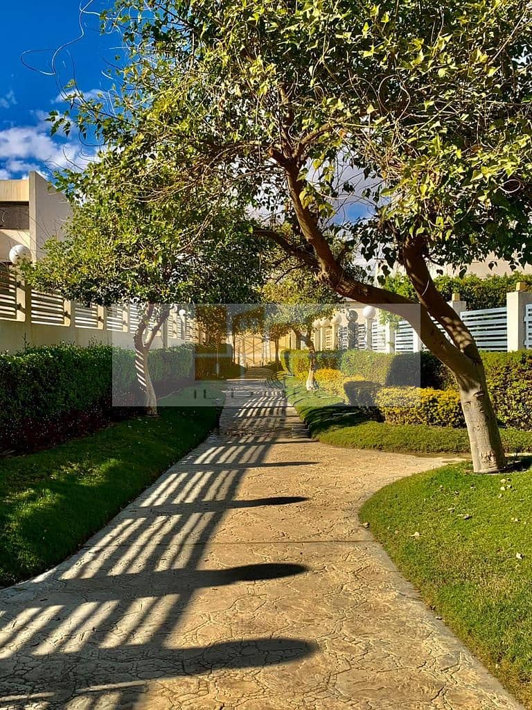 20 WhatsApp Image 2026-01-11 at 1.24. 16 PM (1). jpeg