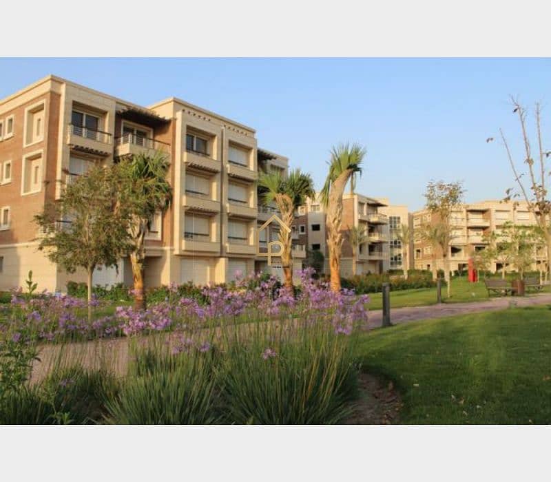 10 new-giza-600x400. jpg