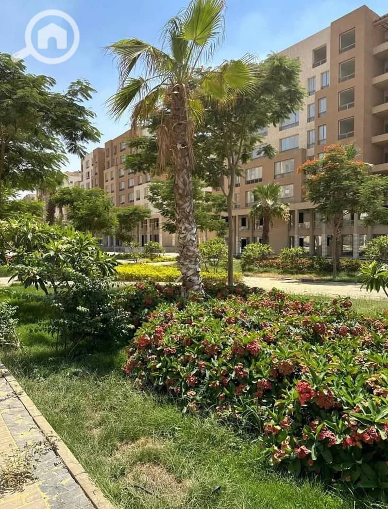 4 555950779_740288609066198_4475876693254929619_n. jpg