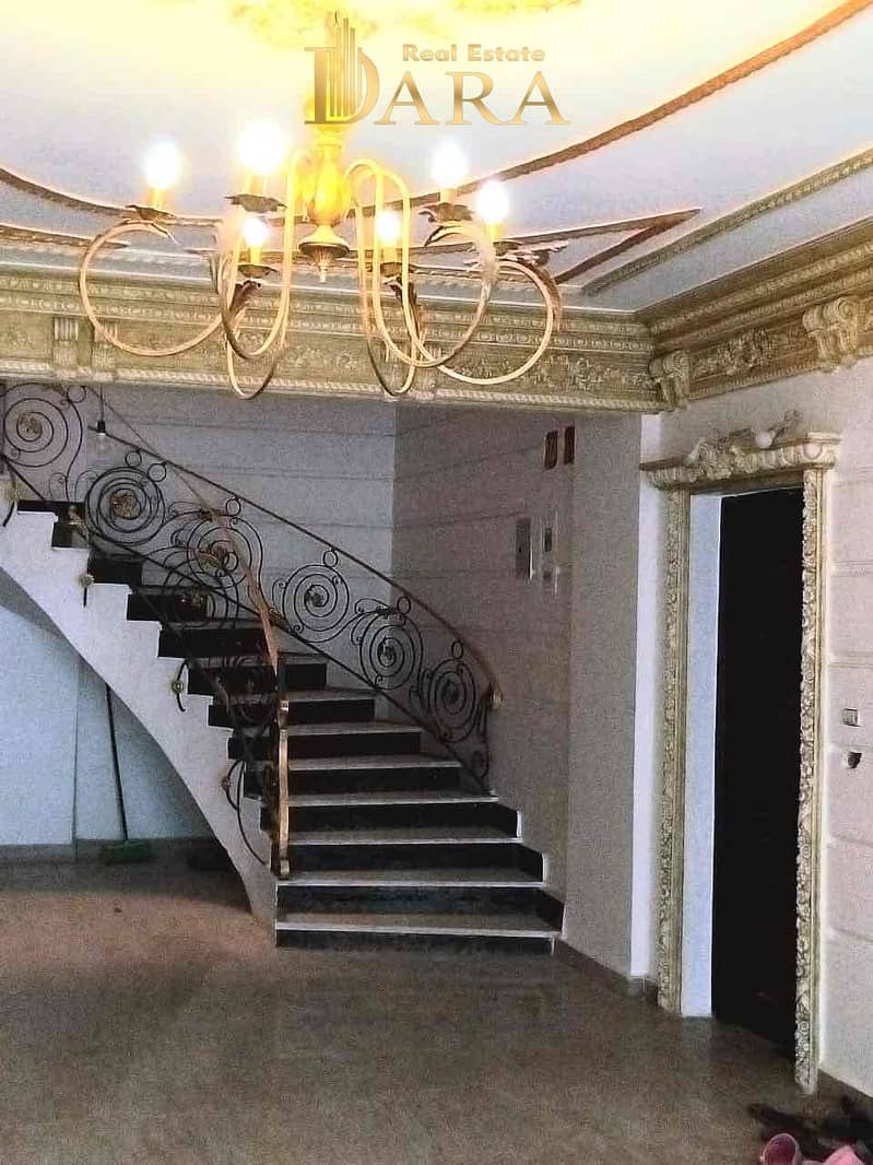 12 8bc385e0-6b1a-4c88-a465-2bf1e96a94eb. jpg