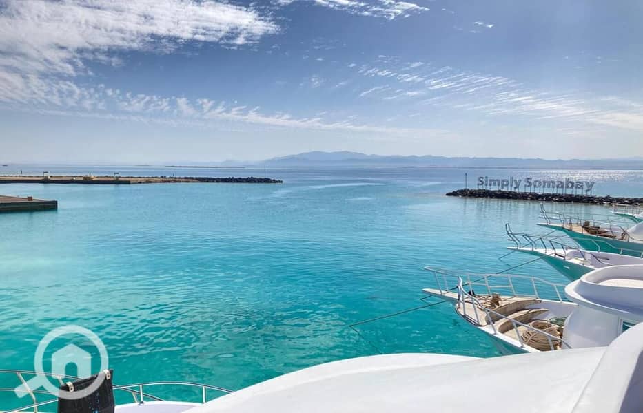 14 WhatsApp Image 2024-04-17 at 20.50. 13_ba3aaf05. jpg