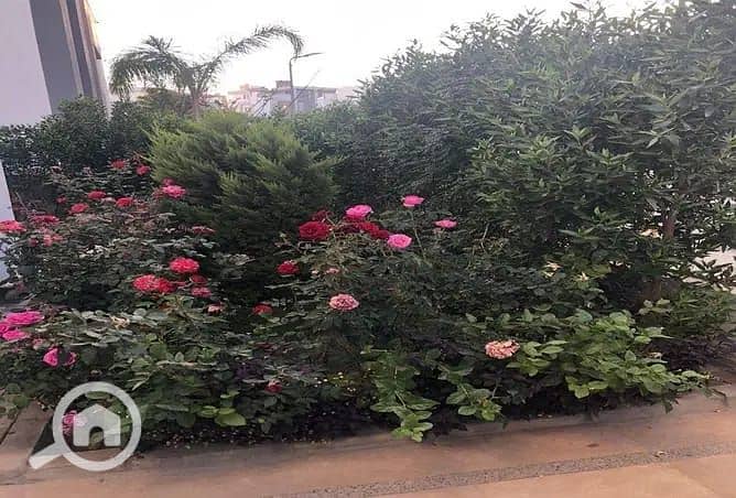 14 WhatsApp Image 2026-01-11 at 5.16. 57 PM (3). jpeg