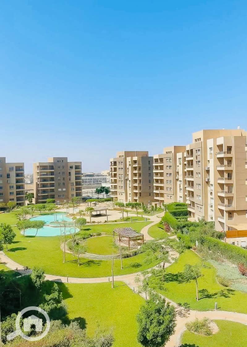 10 IMG_6995 (1). jpg