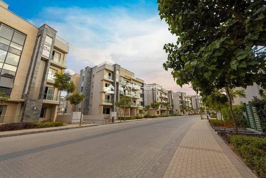 11 576929082_831726129641014_1010089992870979334_n. jpg