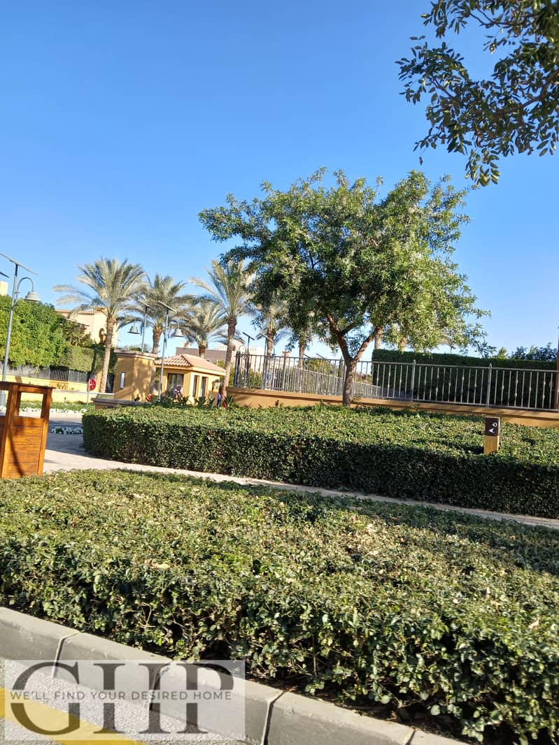 4 20260107_150006. jpg