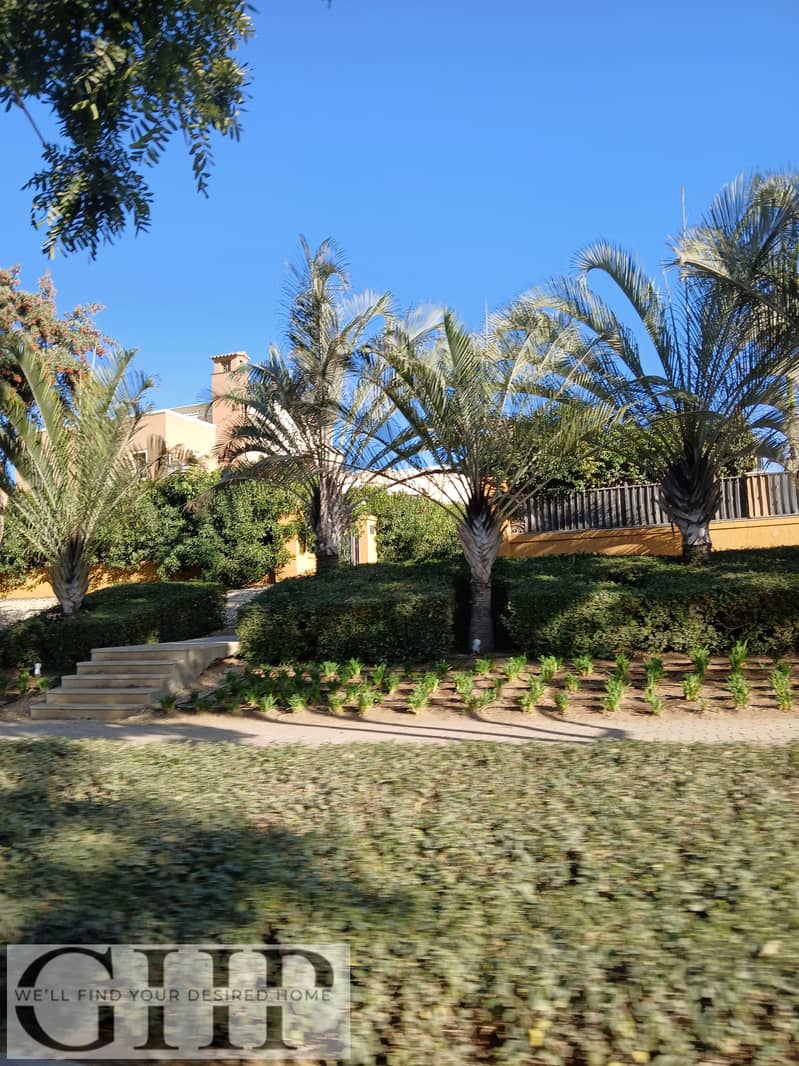 6 20260107_150026. jpg