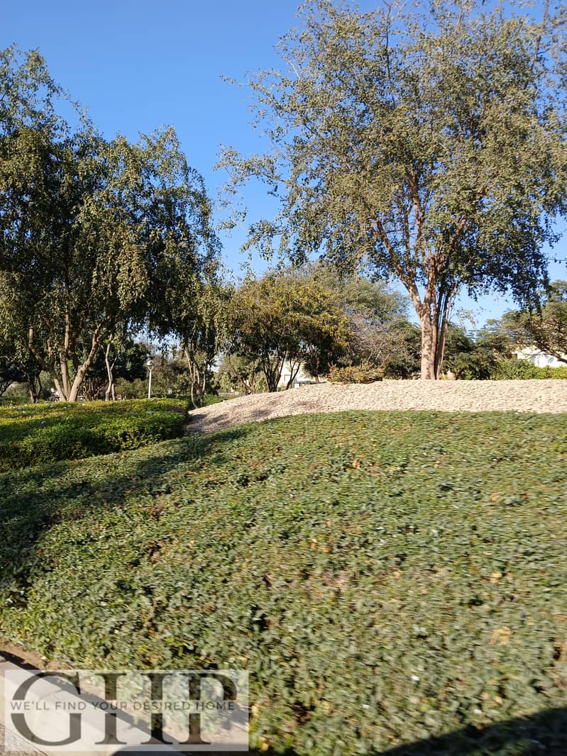 7 20260107_150203. jpg