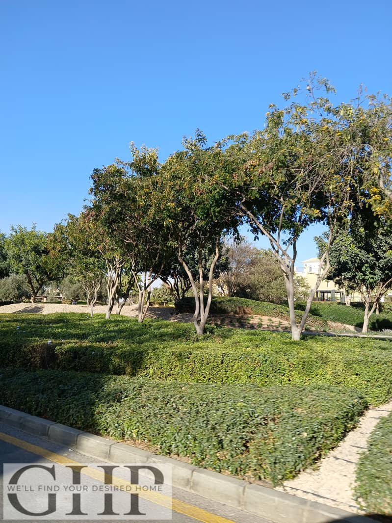 9 20260107_150208. jpg