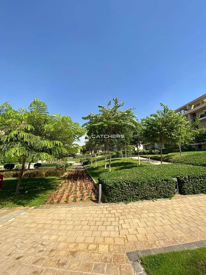 4 577810152_25342223905401475_6825921277041211165_n. jpg