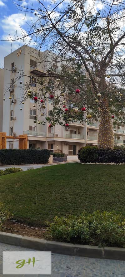 3 Bedroom Duplex for Sale in New Cairo, Cairo - IMG_٢٠٢٥١٢٢٩_١٦١٢٣٨. jpg